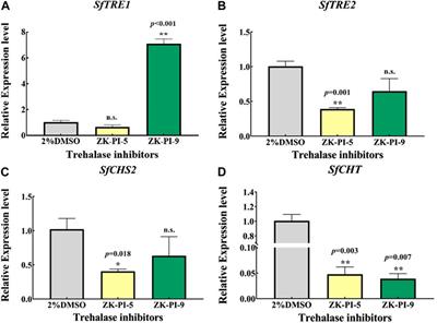 Potential inhibitory effects of compounds ZK-PI-5 and ZK-PI-9 on trehalose and chitin metabolism in Spodoptera frugiperda (J. E. Smith)